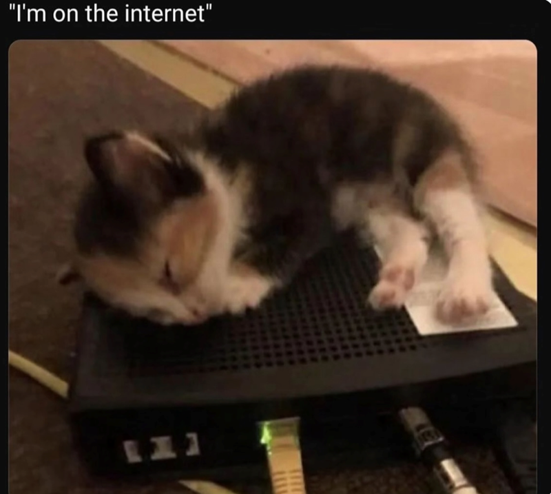 "I'm on the internet" 111
