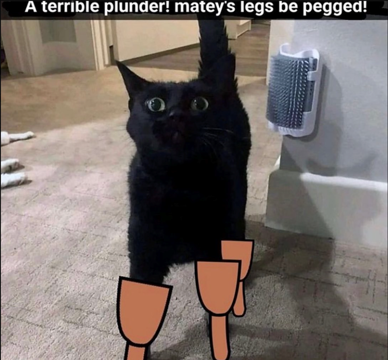 A terrible plunder! matey's legs be pegged!