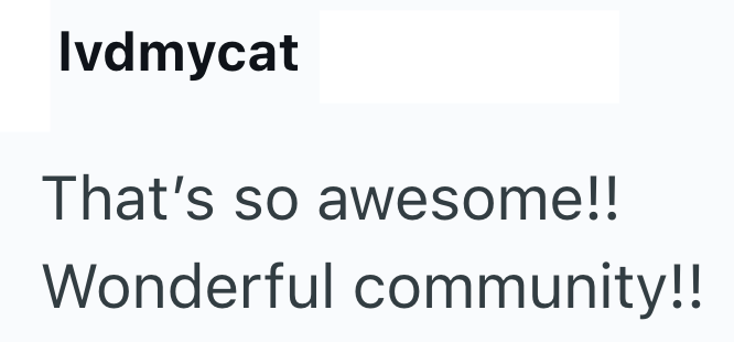 Ivdmycat That's so awesome!! Wonderful community!!