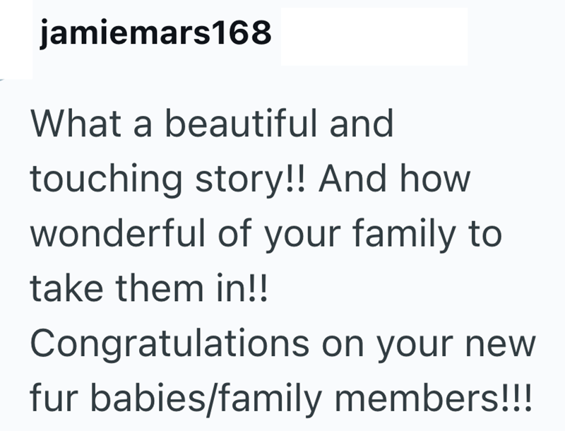 jamiemars168 What a beautiful and touching story!! And how wonderful of your family to take them in!! Congratulations on your new fur babies/family members!!!