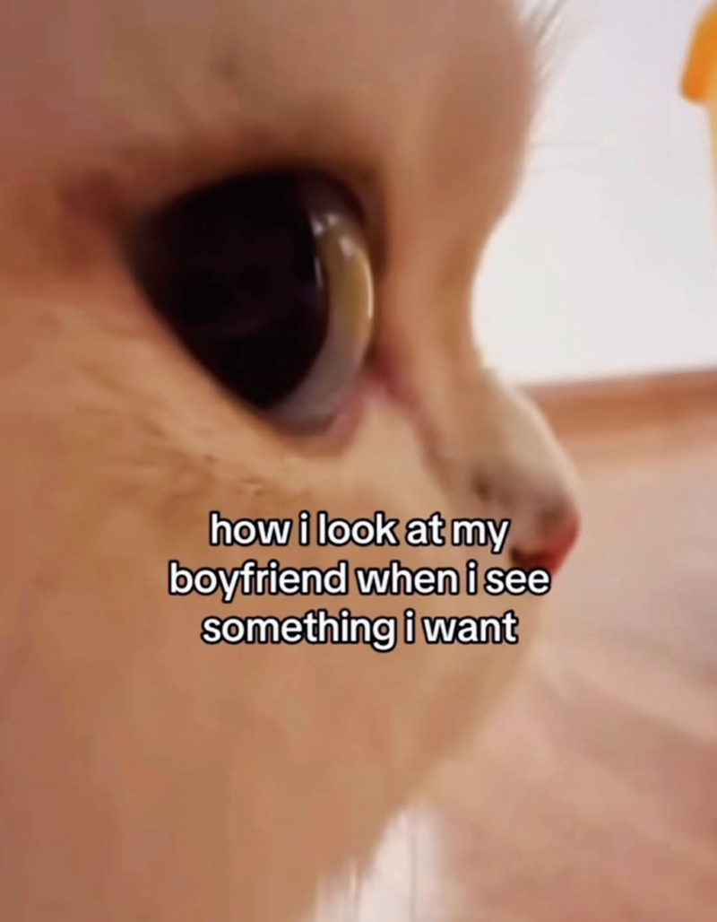 how i look at my boyfriend when i see something i want