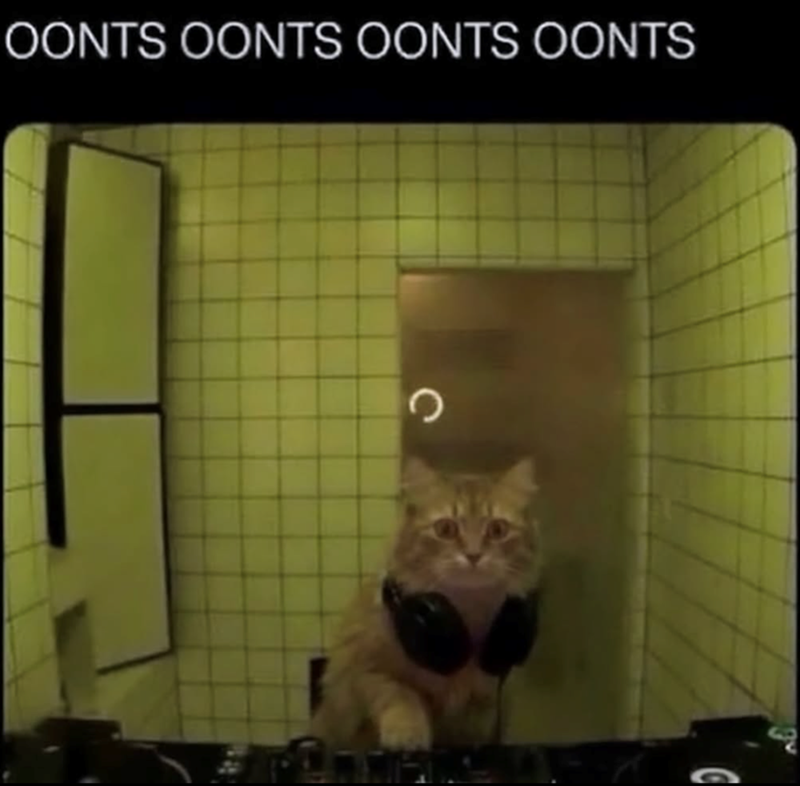 OONTS OONTS OONTS OONTS C