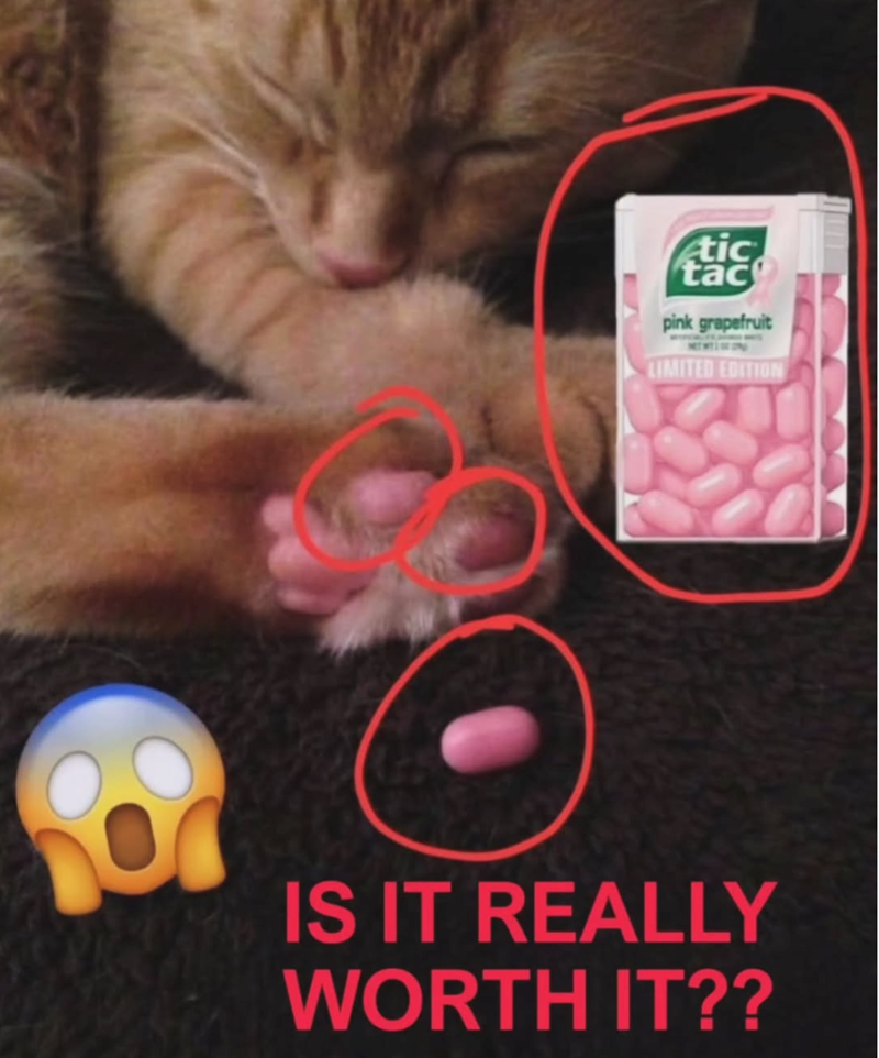 tic tac pink grapefruit LIMITED EDITION IS IT REALLY WORTH IT??