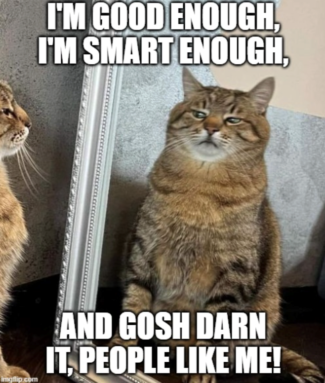 I'M GOOD ENOUGH, I'M SMART ENOUGH, imgflip.com AND GOSH DARN IT, PEOPLE LIKE ME!
