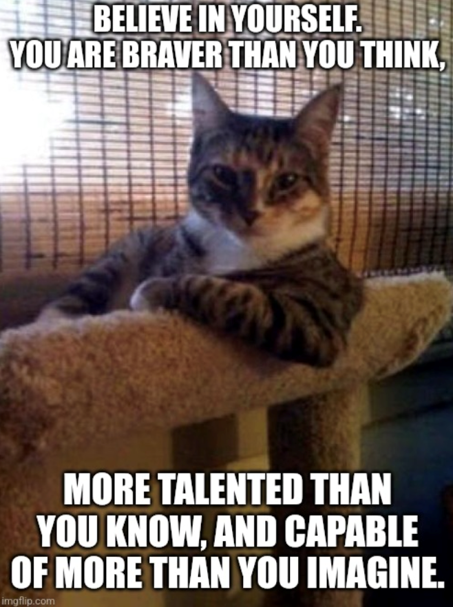 BELIEVE IN YOURSELF. YOU ARE BRAVER THAN YOU THINK, MORE TALENTED THAN YOU KNOW, AND CAPABLE OF MORE THAN YOU IMAGINE. imgflip.com