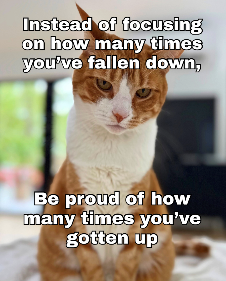 Instead of focusing on how many times you've fallen down, Be proud of how many times you've gotten up