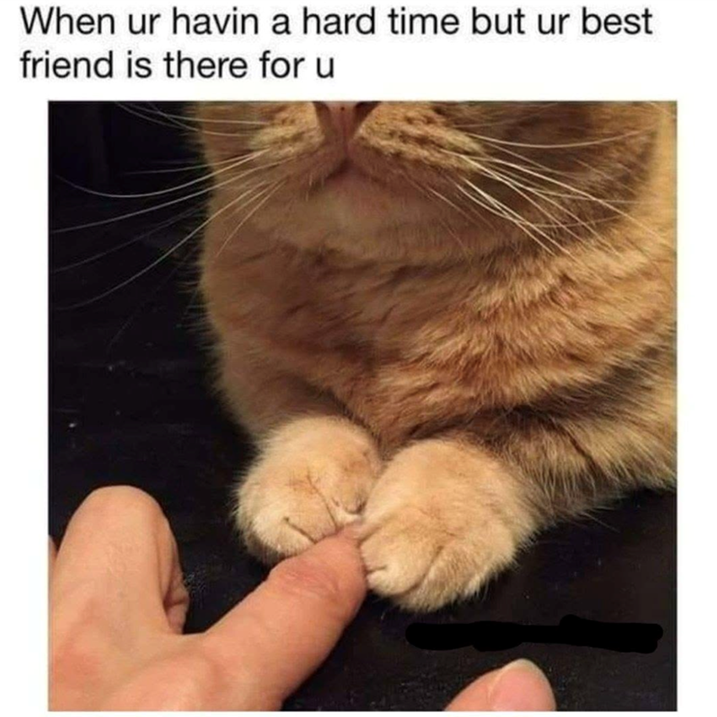 When ur havin a hard time but ur best friend is there for u