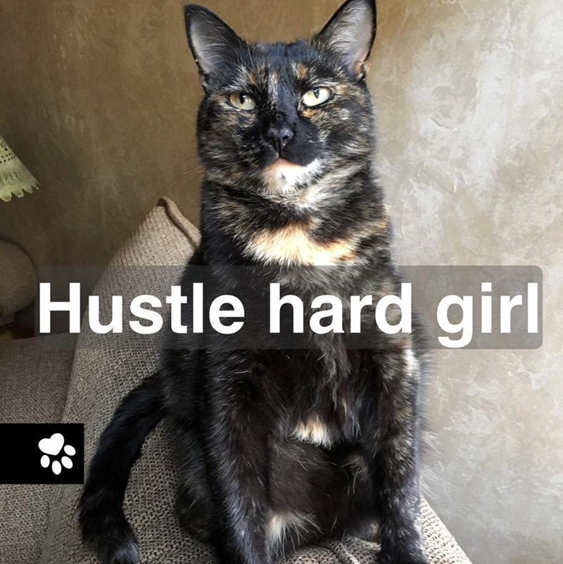 Hustle hard girl