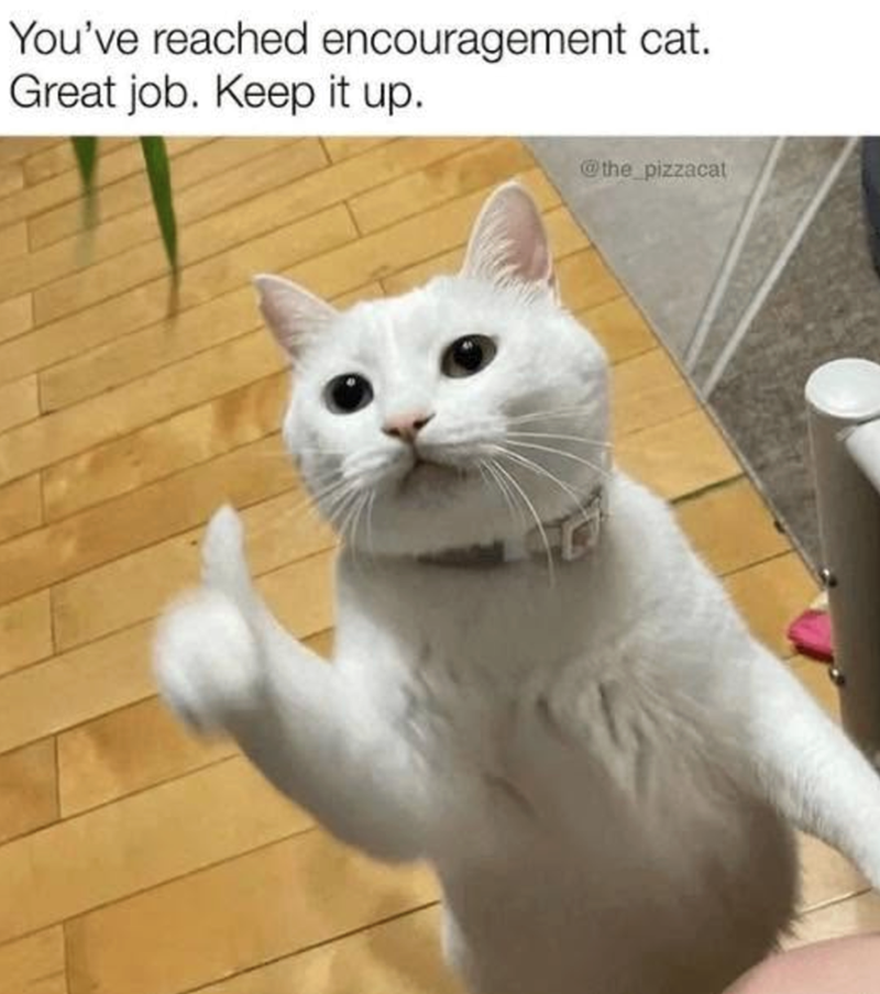 You've reached encouragement cat. Great job. Keep it up. @the_pizzacat