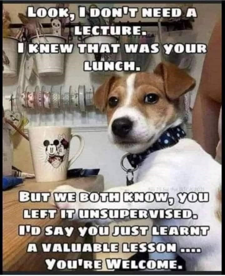 LOOK, I DON'T NEED A LECTURE. KNEW THAT WAS YOUR LUNCH. BUT WE BOTH KNOW, YOU LEFT IT UNSUPERVISED. I'D SAY YOU JUST LEARNT A VALUABLE LESSON .... YOU'RE WELCOME.