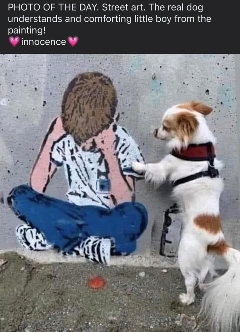 PHOTO OF THE DAY. Street art. The real dog understands and comforting little boy from the painting! innocence