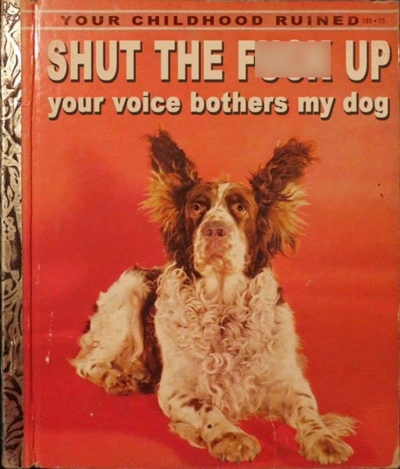 YOUR CHILDHOOD RUINED 185-25 SHUT THE FOOM UP your voice bothers my dog