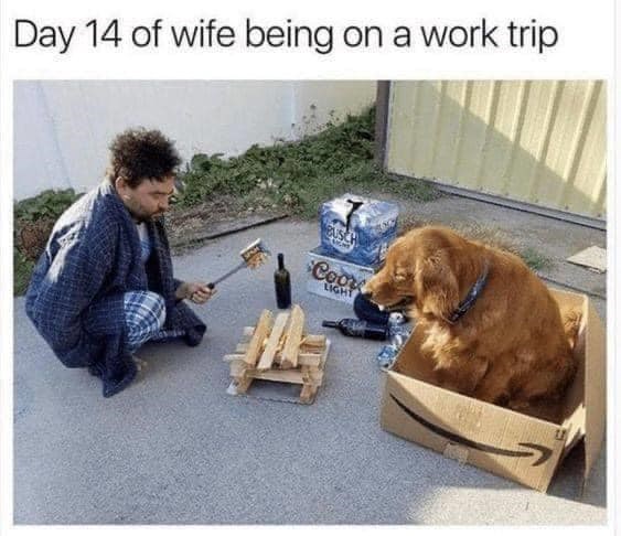 Day 14 of wife being on a work trip Coor LIGHT