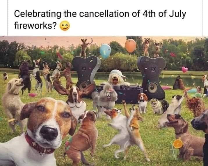 Celebrating the cancellation of 4th of July fireworks?