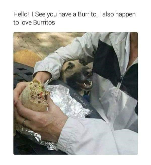 Hello! I See you have a Burrito, I also happen to love Burritos hilarious.ted