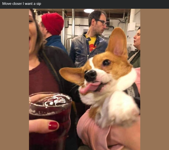Move closer I want a sip