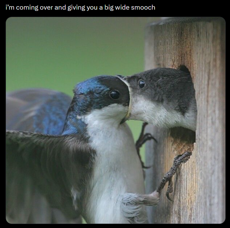 i'm coming over and giving you a big wide smooch