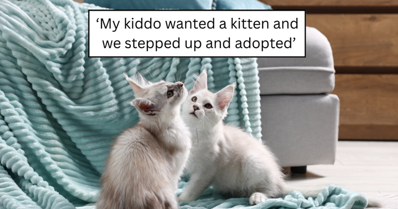 'My kiddo wanted a kitten and we stepped up and adopted'