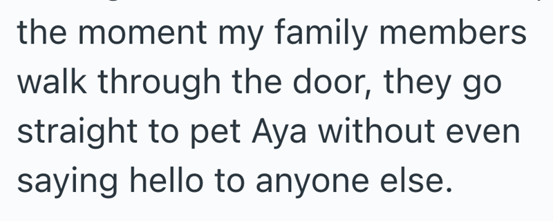 the moment my family members walk through the door, they go straight to pet Aya without even saying hello to anyone else.