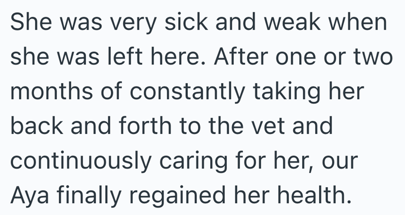 She was very sick and weak when she was left here. After one or two months of constantly taking her back and forth to the vet and continuously caring for her, our Aya finally regained her health.
