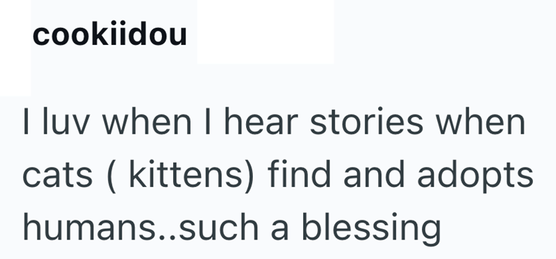 cookiidou I luv when I hear stories when cats (kittens) find and adopts humans..such a blessing