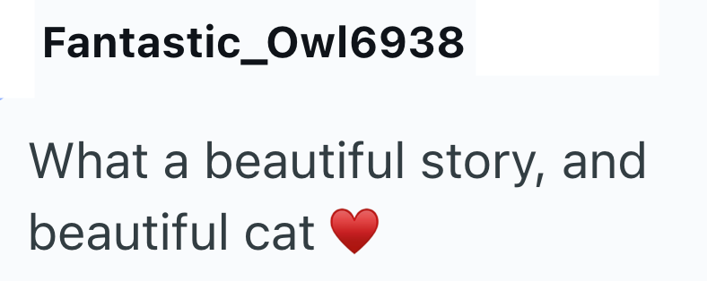 Fantastic_Owl6938 What a beautiful story, and beautiful cat