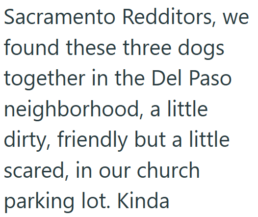 Sacramento Redditors, we found these three dogs together in the Del Paso neighborhood, a little dirty, friendly but a little scared, in our church parking lot. Kinda