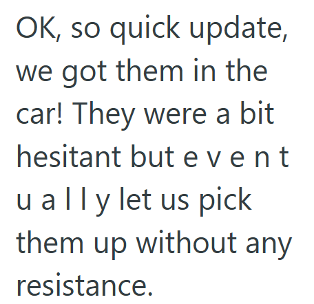 OK, so quick update, we got them in the car! They were a bit hesitant but event ually let us pick them up without any resistance.