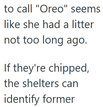 to call "Oreo" seems like she had a litter not too long ago. If they're chipped, the shelters can identify former