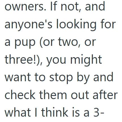 owners. If not, and anyone's looking for a pup (or two, or three!), you might want to stop by and check them out after what I think is a 3-