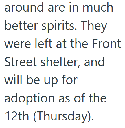 around are in much better spirits. They were left at the Front Street shelter, and will be up for adoption as of the 12th (Thursday).