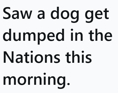 Saw a dog get dumped in the Nations this morning.