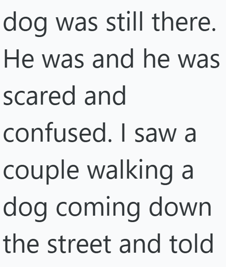 dog was still there. He was and he was scared and confused. I saw a couple walking a dog coming down the street and told