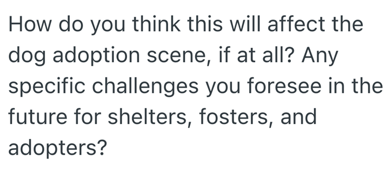 How do you think this will affect the dog adoption scene, if at all? Any specific challenges you foresee in the future for shelters, fosters, and adopters?