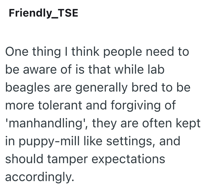 Friendly_TSE One thing I think people need to be aware of is that while lab beagles are generally bred to be more tolerant and forgiving of 'manhandling', they are often kept in puppy-mill like settings, and should tamper expectations accordingly.