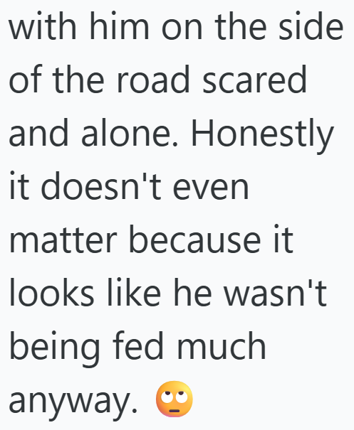 with him on the side of the road scared and alone. Honestly it doesn't even matter because it looks like he wasn't being fed much anyway.