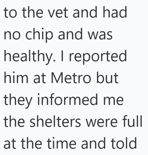 to the vet and had no chip and was healthy. I reported him at Metro but they informed me the shelters were full at the time and told