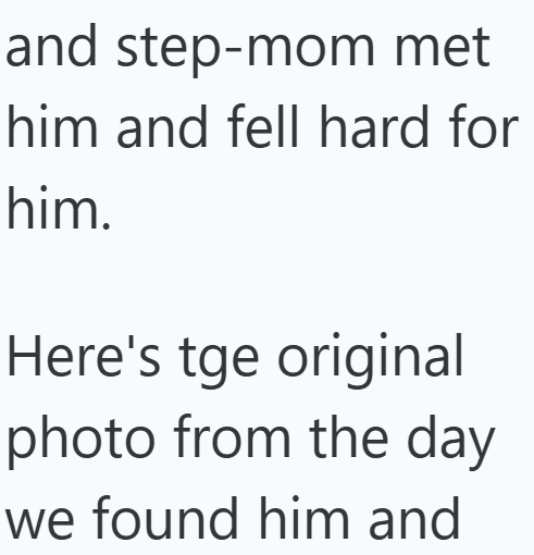 and step-mom met him and fell hard for him. Here's tge original photo from the day we found him and