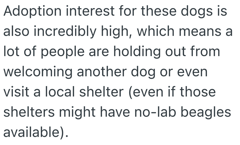 Adoption interest for these dogs is also incredibly high, which means a lot of people are holding out from welcoming another dog or even visit a local shelter (even if those shelters might have no-lab beagles available).