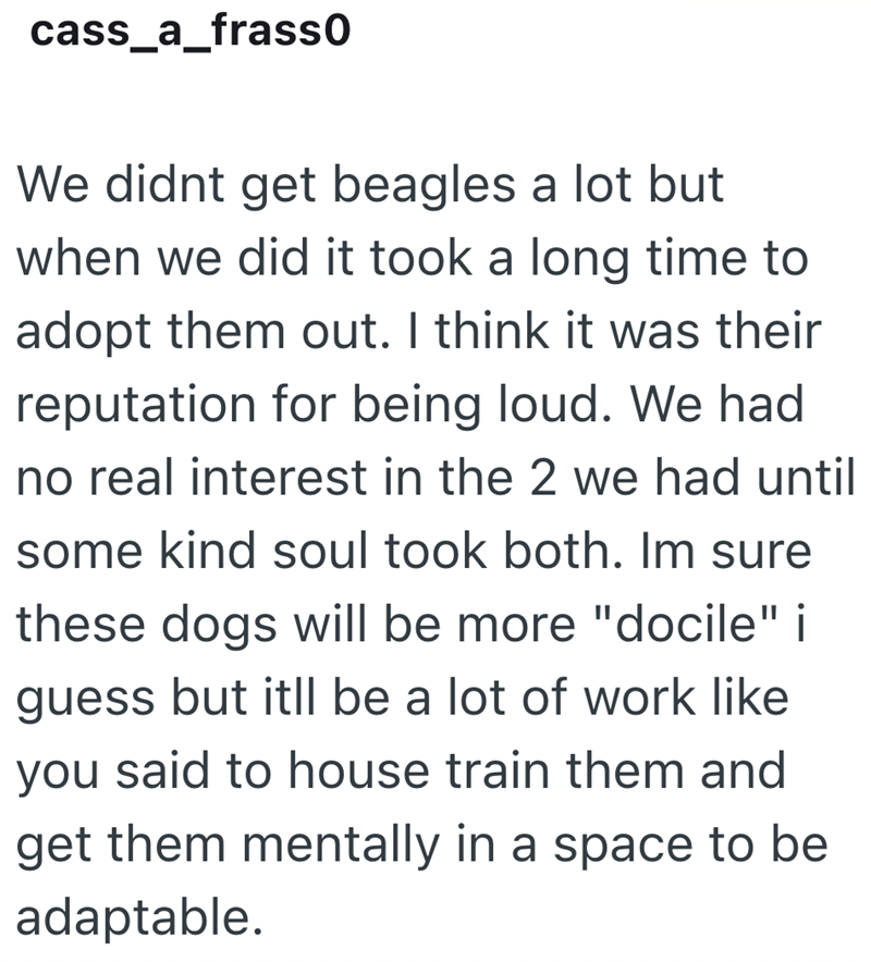 cass_a_frass0 We didnt get beagles a lot but when we did it took a long time to adopt them out. I think it was their reputation for being loud. We had no real interest in the 2 we had until some kind soul took both. Im sure these dogs will be more "docile" i guess but itll be a lot of work like you said to house train them and get them mentally in a space to be adaptable.