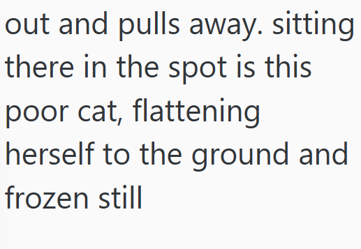 out and pulls away. sitting there in the spot is this poor cat, flattening herself to the ground and frozen still