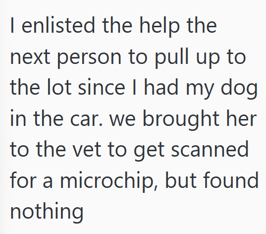 I enlisted the help the next person to pull up to the lot since I had my dog in the car. we brought her to the vet to get scanned for a microchip, but found nothing