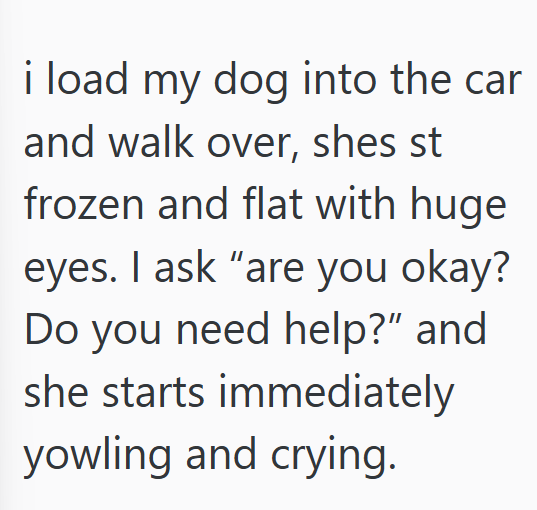 i load my dog into the car and walk over, shes st frozen and flat with huge eyes. I ask "are you okay? Do you need help?" and she starts immediately yowling and crying.
