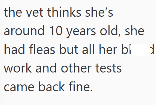 the vet thinks she's around 10 years old, she had fleas but all her bl work and other tests came back fine.