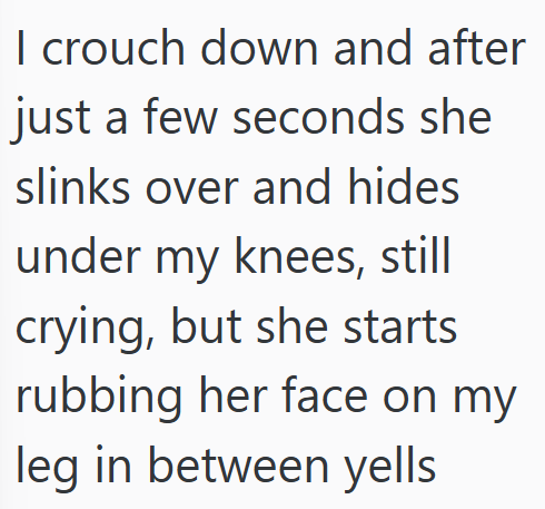 I crouch down and after just a few seconds she slinks over and hides under my knees, still crying, but she starts rubbing her face on my leg in between yells