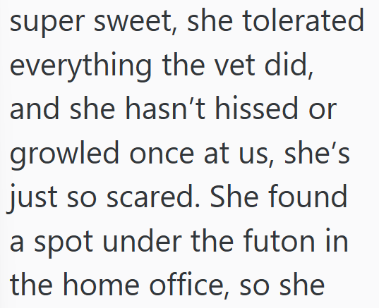 super sweet, she tolerated everything the vet did, and she hasn't hissed or growled once at us, she's just so scared. She found a spot under the futon in the home office, so she