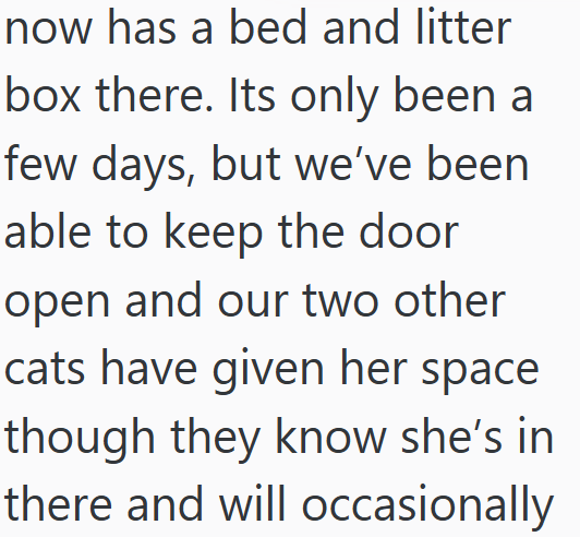 now has a bed and litter box there. Its only been a few days, but we've been able to keep the door open and our two other cats have given her space though they know she's in there and will occasionally