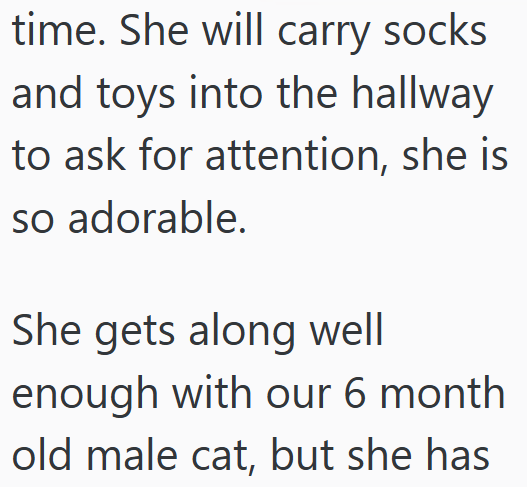 time. She will carry socks and toys into the hallway to ask for attention, she is so adorable. She gets along well enough with our 6 month old male cat, but she has