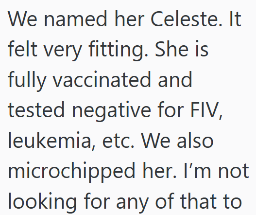 We named her Celeste. It felt very fitting. She is fully vaccinated and tested negative for FIV, leukemia, etc. We also microchipped her. I'm not looking for any of that to