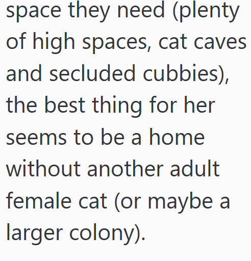 space they need (plenty of high spaces, cat caves and secluded cubbies), the best thing for her seems to be a home without another adult female cat (or maybe a larger colony).